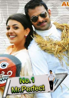 No.1 Mr Perfect full Movie Download free in hd