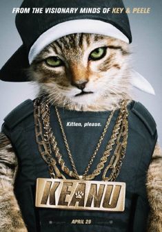 Keanu (2016) full Movie Download in hd free