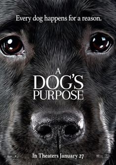 A Dogs Purpose (2017) full Movie Download free in hd