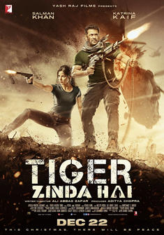Tiger Zinda Hai (2017) full Movie Download free in hd
