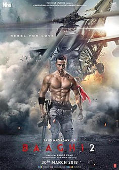 Baaghi 2 (2018) full Movie Download free in hd