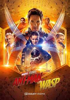 Ant-Man and the Wasp in Hindi full Movie Download free hd