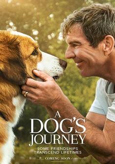A Dog's Journey (2019) full Movie Download free in hd