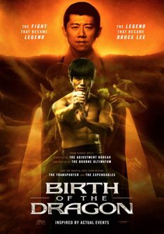Birth of the Dragon (2016) full Movie Download Free in Hindi Dubbed HD