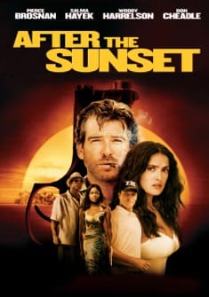 After the Sunset (2004) full Movie Download Free in Dual Audio HD