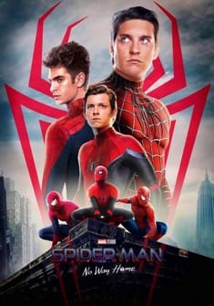 Spider-Man No Way Home (2021) full Movie Download Free in Dual Audio HD