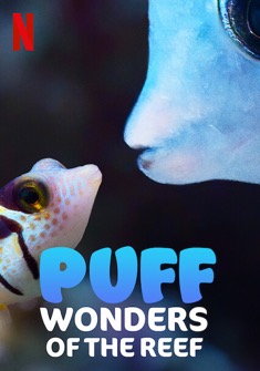 Puff (2021) full Movie Download Free in Dual Audio HD