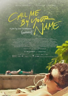 Call Me by Your Name (2017) full Movie Download Free in HD