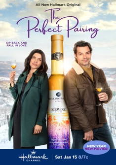A Perfect Pairing (2022) full Movie Download Free in Dual Audio HD