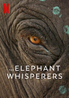 The Elephant Whisperers (2022) full Movie Download Free in Dual Audio HD