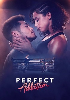 Perfect Addiction (2023) full Movie Download Free in Dual Audio HD