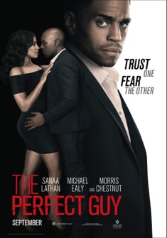 The Perfect Guy (2015) full Movie Download Free in Dual Audio HD